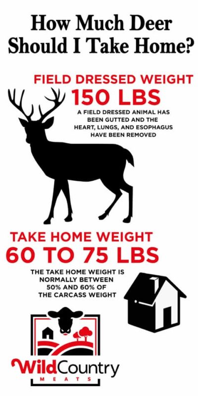 elk vs deer meat